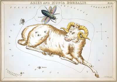 Aries constellation