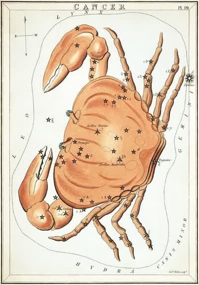 Cancer constellation