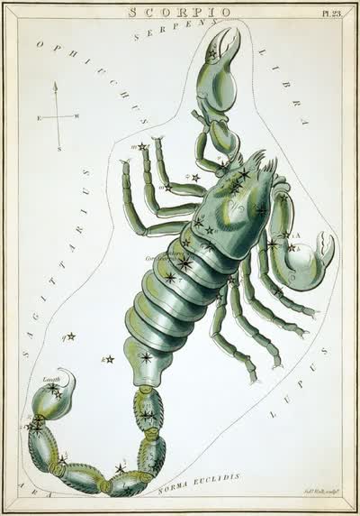 Scorpio constellation