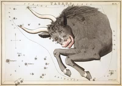 Taurus constellation