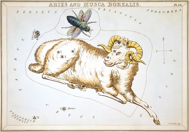 Aries (The Ram) constellation, from Urania's Mirror, 1824