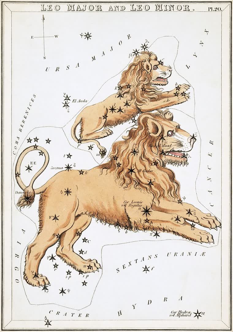 Leo (The Lion) constellation, from Urania's Mirror, 1824