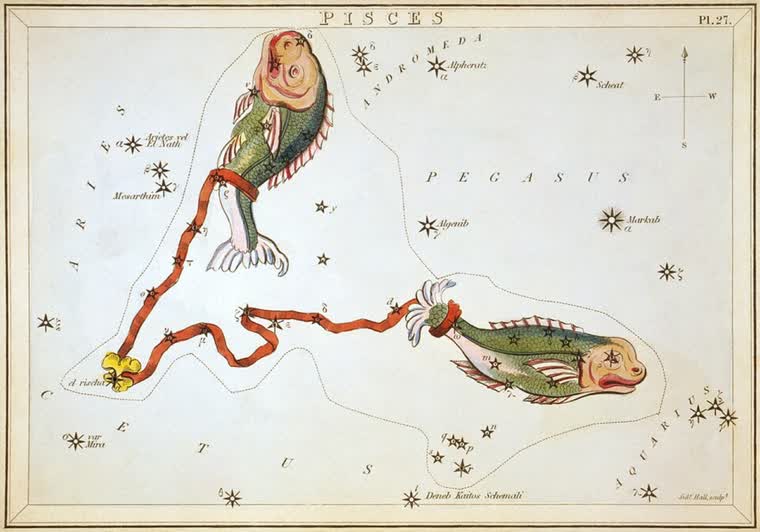Pisces (The Fish) constellation, from Urania's Mirror, 1824