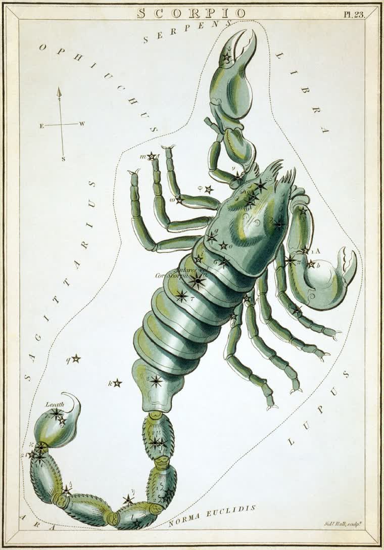 Scorpio (The Scorpion) constellation, from Urania's Mirror, 1824