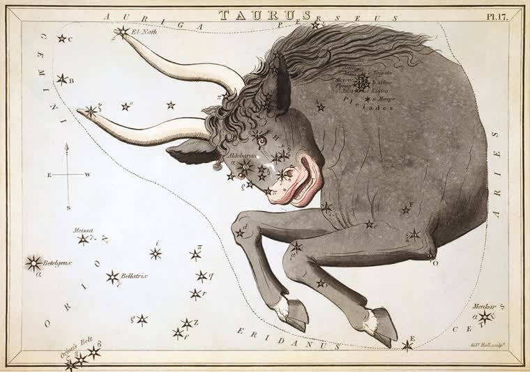 Taurus (The Bull) constellation, from Urania's Mirror, 1824